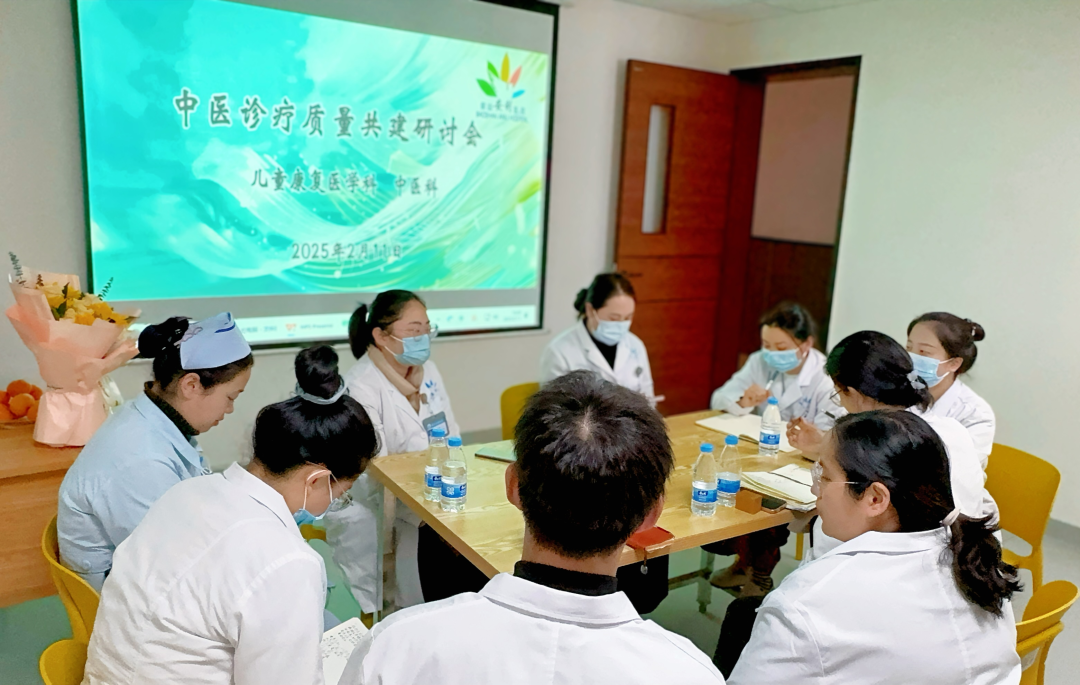 中醫(yī)診療質量共建研討會